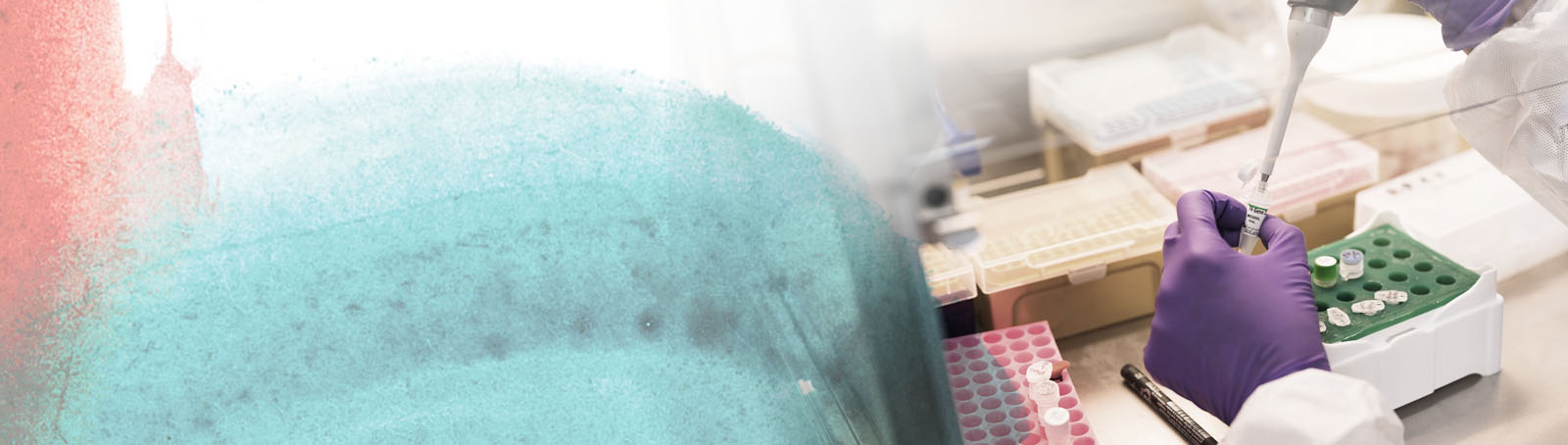 news-header DNAe News Header